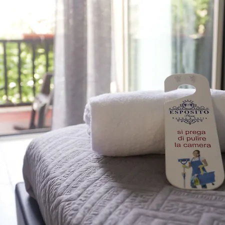 招待所 Esposito Plaza- & 那不勒斯