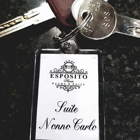 Esposito Plaza- & Guest house *