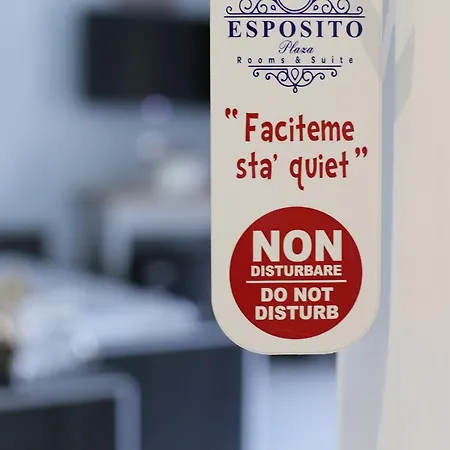 Esposito Plaza- & 4* Неаполь